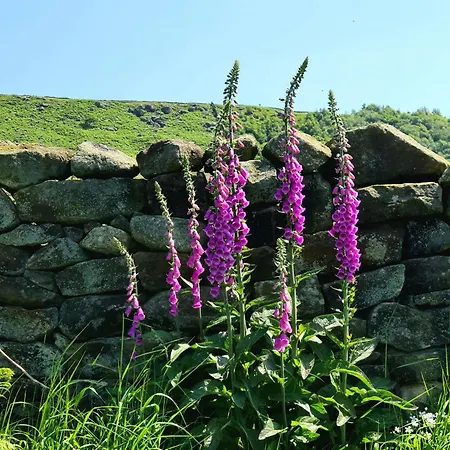 Ingleside Cottage Near Whitby, North Yorkshire Moors * Glaisdale